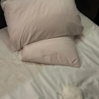 1/27 Mさま☆