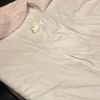 1/29 ちんぽ先生☆