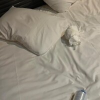 新谷あきら