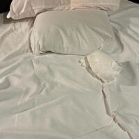 新谷あきら
