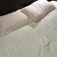 新谷あきら