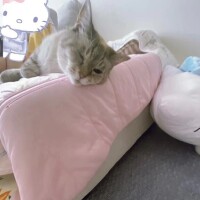 地元の客層🙂‍↕️