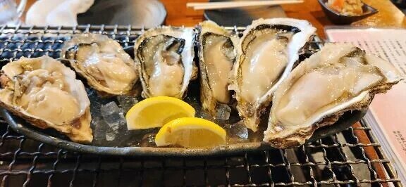 本日m(_ _)m