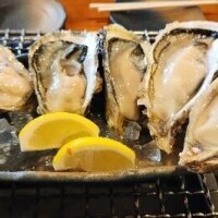 本日m(_ _)m