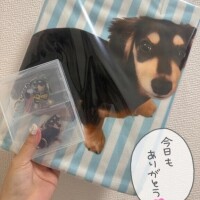 初日からありがとう😍