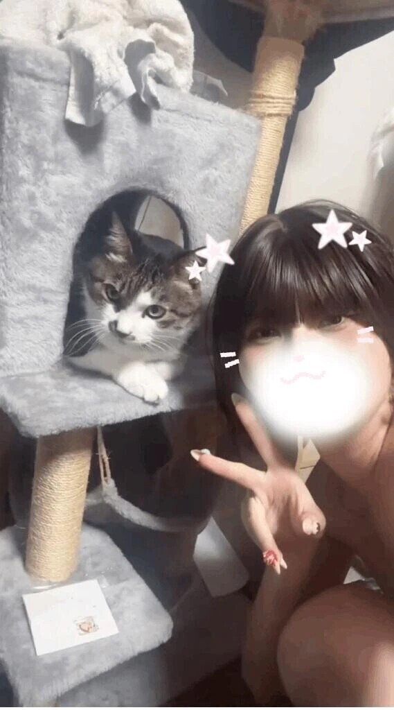 猫ちゃん🐱