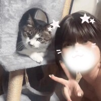 猫ちゃん🐱