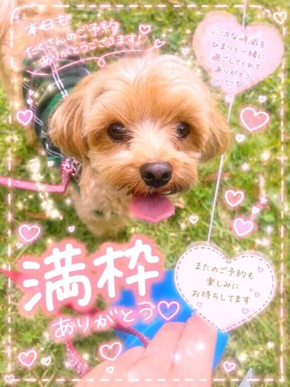 完売御礼🈵💕