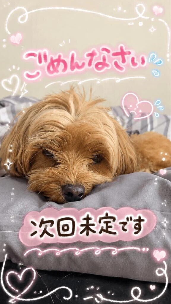 ごめんなさい🙏