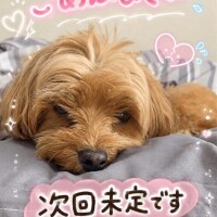ごめんなさい🙏