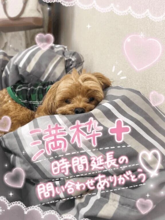 完売御礼＋時間延長✨
