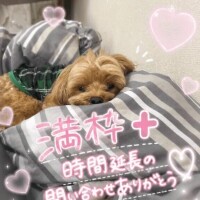 完売御礼＋時間延長✨