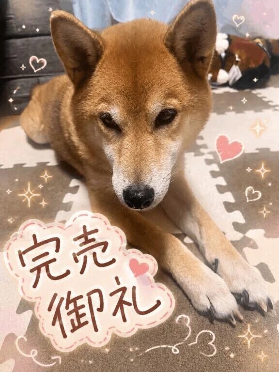 完売御礼🙇