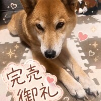 完売御礼🙇