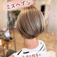 ミスヘ●ンについて