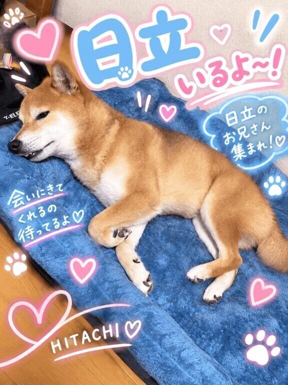 日立！今なら！