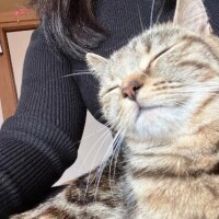 すず
