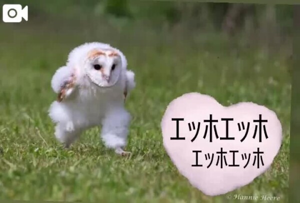 今日は皆様にお伝えしたいことがあります。