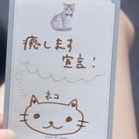 ななみ