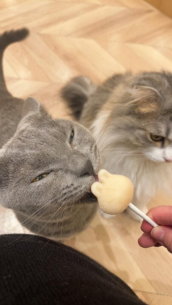 出勤しました♡
