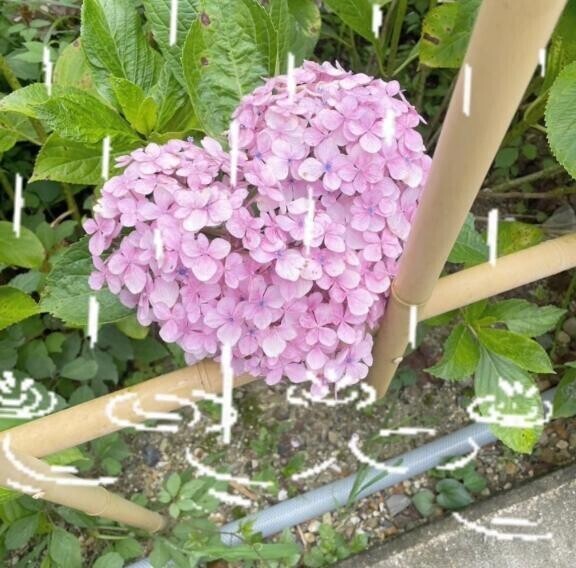 雨に濡れずに、濡らして…？/////