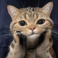ななみの中たしかめて…？