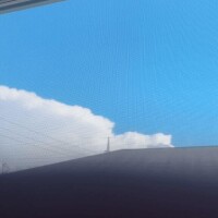 あずさ