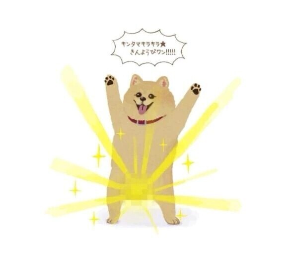 金きらきら金曜日🟡🟡