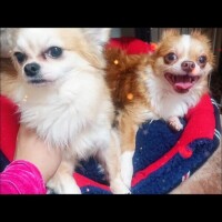 ☆おやすみなさい…☆