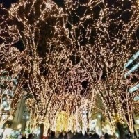 見つけたら…♡