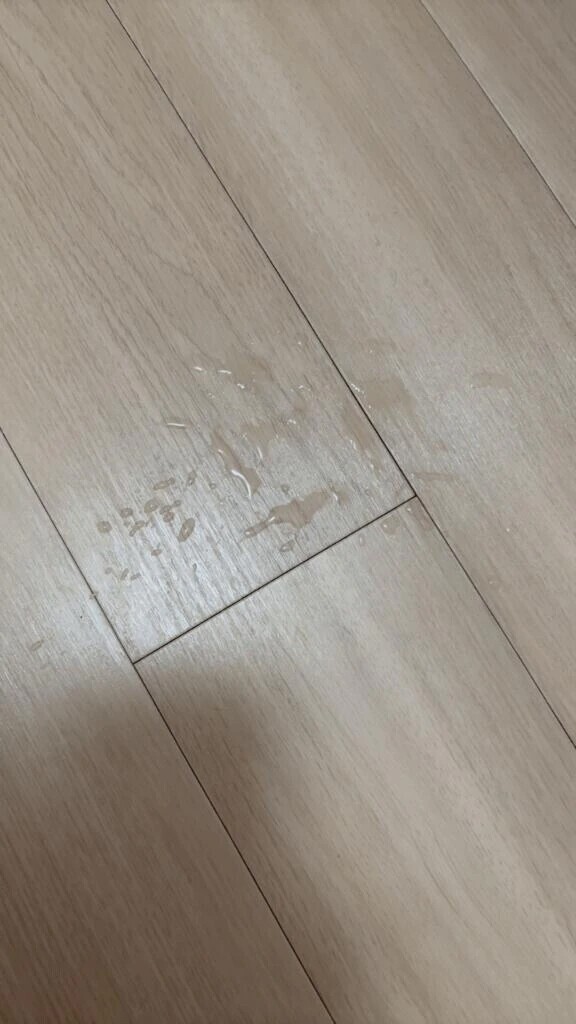 さっきの成果🐳