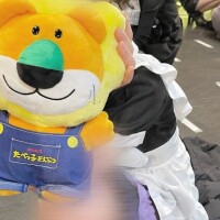 今日で最後、会いに来てほしいな、