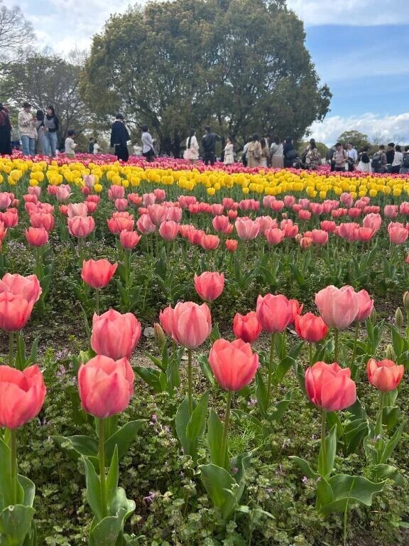 おはようございます😊