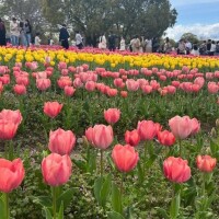 おはようございます😊