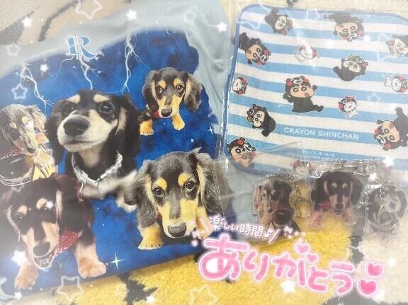 次回6月16日から出勤🐤