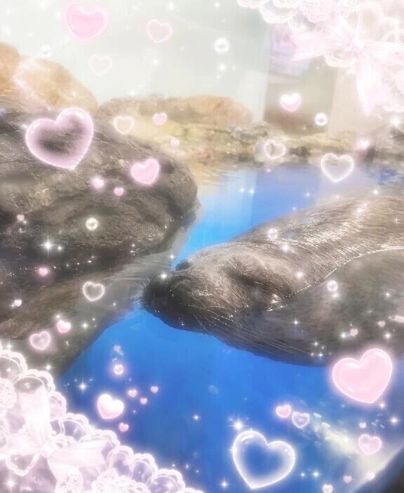 お喋り欲が…笑
