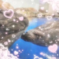 お喋り欲が…笑