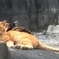 8月だぁ！！