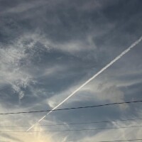気分転換…?