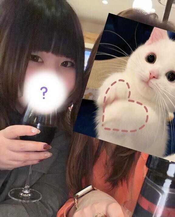 お知らせ????