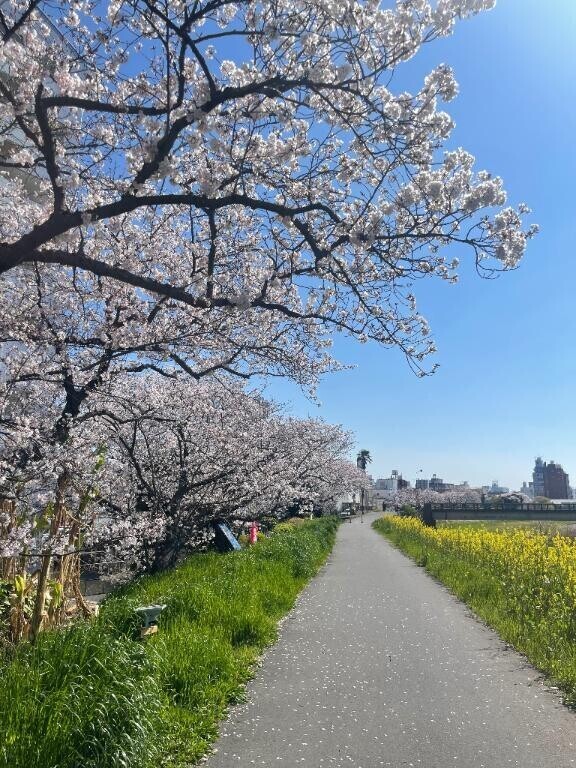 明日もお願いします?