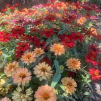 12/14~出勤しま~す?