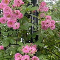 少し予定変更！??