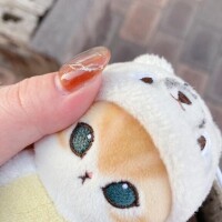 向かってます??