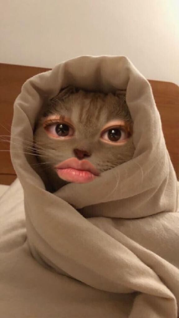 まって忘れてた