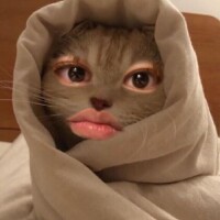 まって忘れてた