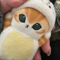 向かっております??