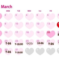 3月後半の予定??