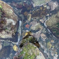 おはようございます