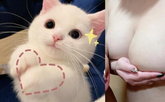 また会いましょう??